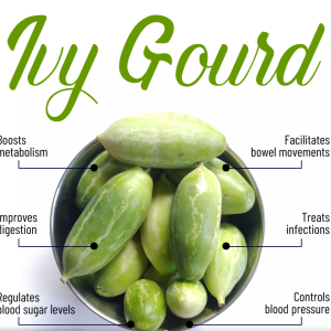 Ivy gourd(Dondakaya)