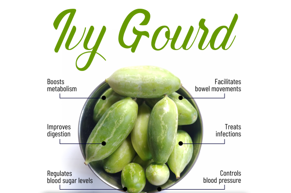 Ivy gourd(Dondakaya)