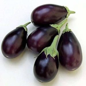 Nagpur Brinjal