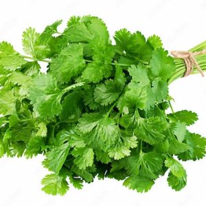 Coriander Leaves - Kothimeera