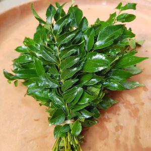 Curry Leaves - Karivepaku