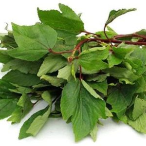 SORREL LEAVES (GONGURA)
