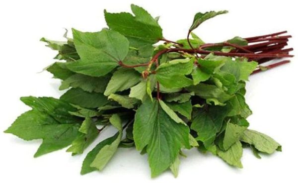 SORREL LEAVES (GONGURA)