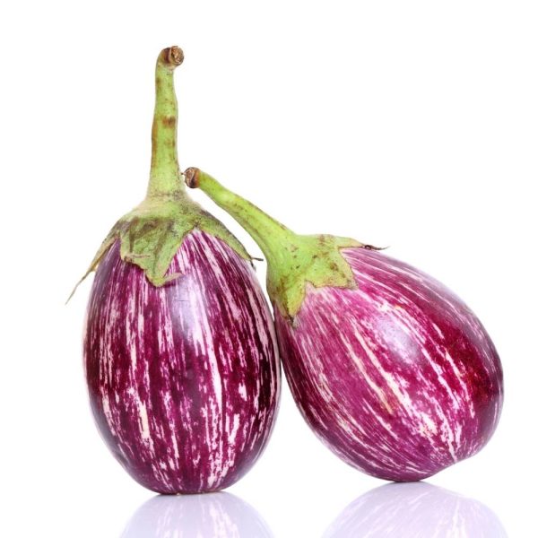 Brinjal kateri