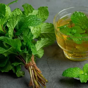 Mint Leaves - Pudhina