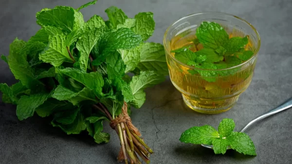 Mint Leaves - Pudhina