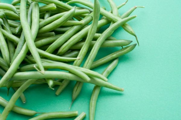 Haricot beans